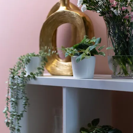 Krasnal Market Square